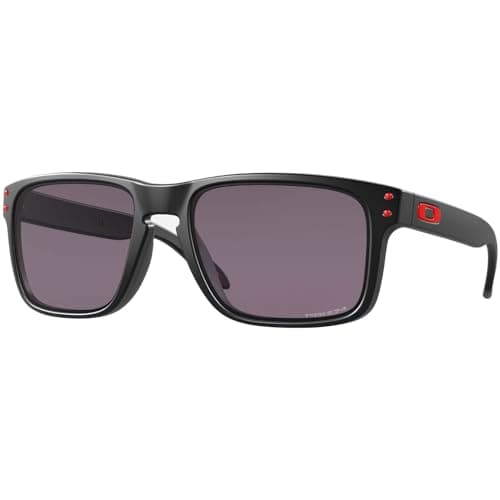 Oakley Oakley Holbrook (Prizm)